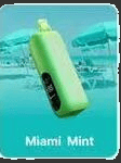 REIGN BAR Miami Mint